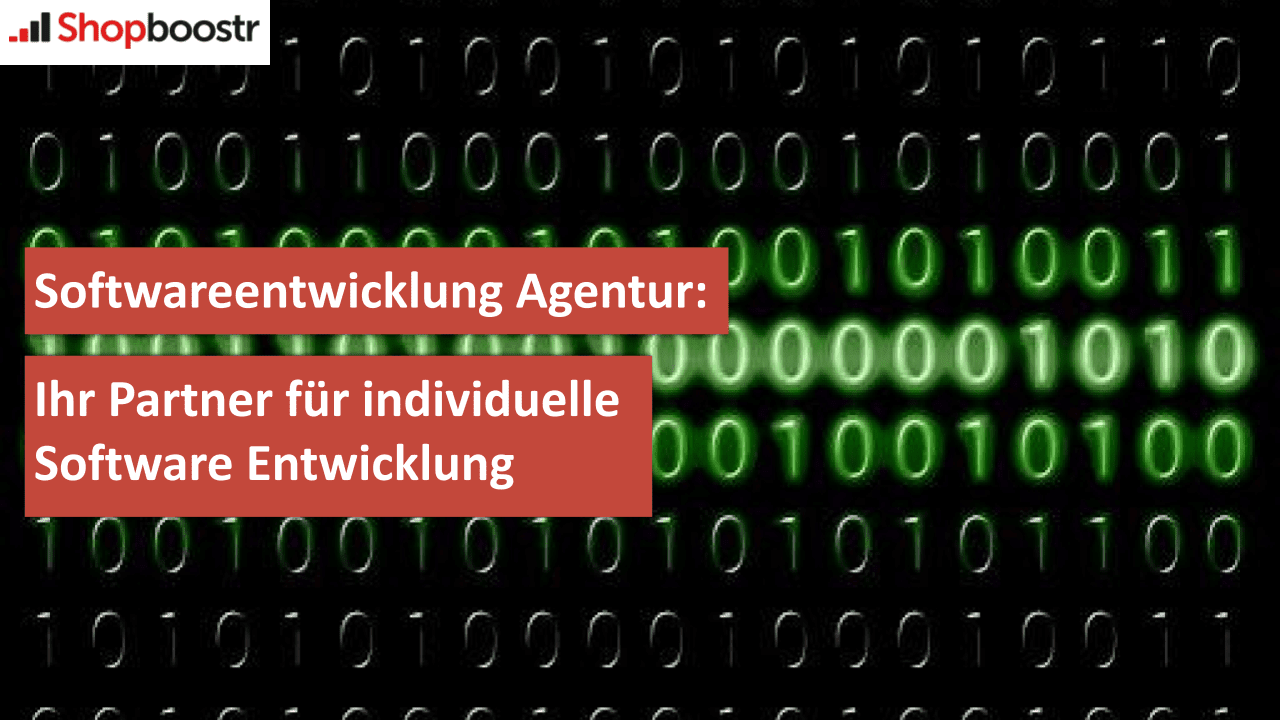 Softwareentwicklung Agentur
